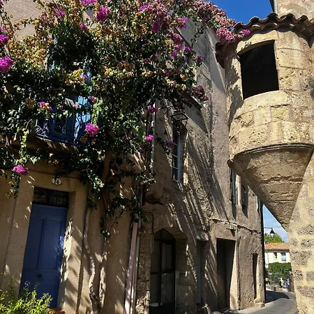 Maison De La Gargoyle * Pézenas